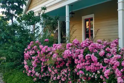 Image de Historic charm and secret gardens. Central location. Bay St. Louis, Ms