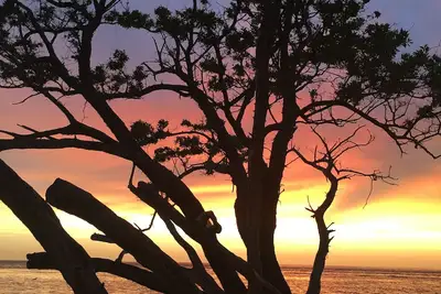 Image de Charming 1-bedroom condo in Siesta Key with WiFi, overlooking private beach