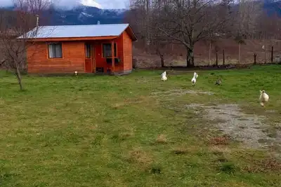 Image de Cabin in the south