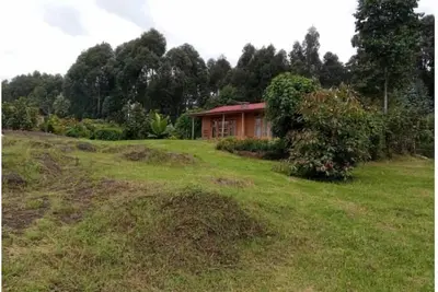Image de Terracotta Kinigi