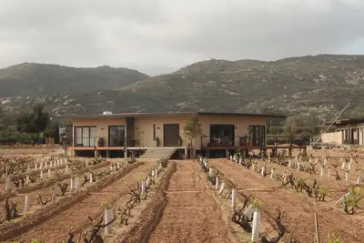 Image de Casa Maul / Valle de Guadalupe / Incredible Home in Private Vineyard