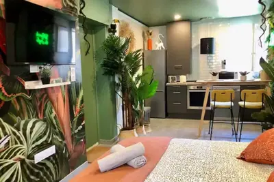 Image de Studio Jungle Climatisé - Classé 3 étoiles