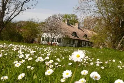 Image de Vacation home Reethaus Rosengarten and yurt opposite Hiddensee on large property