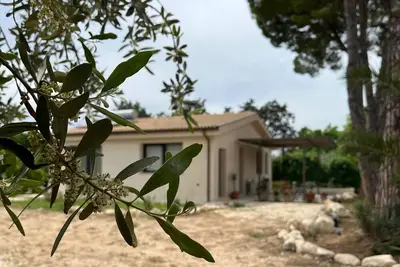 Image de B&B Monstera SicilianExperience, Noto - Location nestled in the hills of Noto