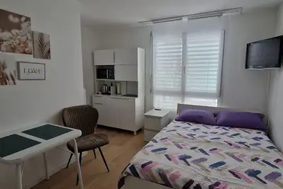 Image de 1 room studio with private bathroom and near the rhein