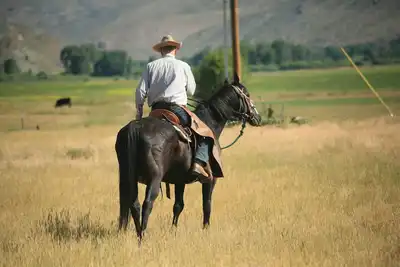 Image de Wyoming Ranch Experience with a Comfortable Cabin