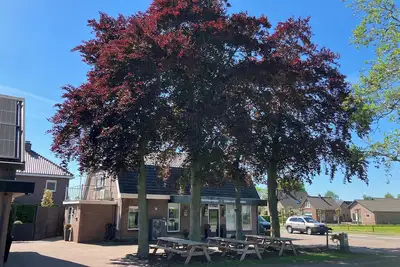 Image de Lovely velvet vacation home (under the beech)