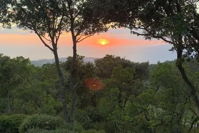 Image de Une maison au milieu des arbres
