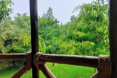 Image de Podocarpus cottages