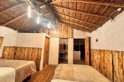 Image de Podocarpus cottages 03