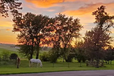 Escape to tranquility – your countryside haven, and at times with a horse or two