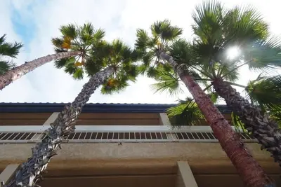 Image de Cozy Coastal Stay | 2 Queens | Near Seal Beach Marina