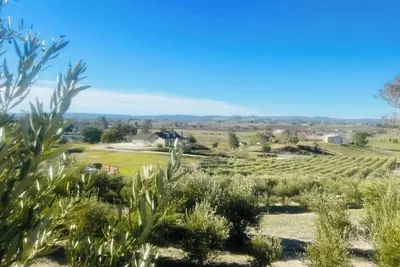 Image de Olive Ranch Gem with Views!