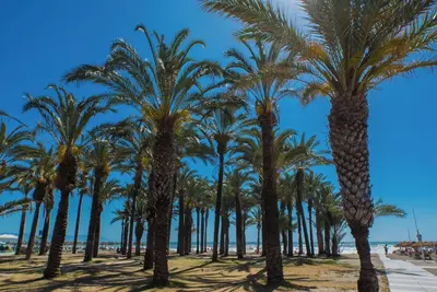 Image de Casa Lin La Carihuela, Torremelinos