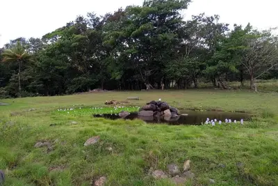 Image de Camping and Rv parking area 7