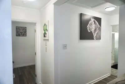 Image de Stainless Steel Retreat in Downtown Athens