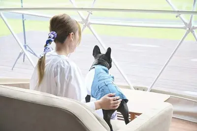 Image de Pets allowed  7m dome tent A Accommodation onl / Sanbu District Chiba