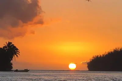 Beach Lifestyle Bungalow - Steps from the beach, your Dream Escape Starts Here!
