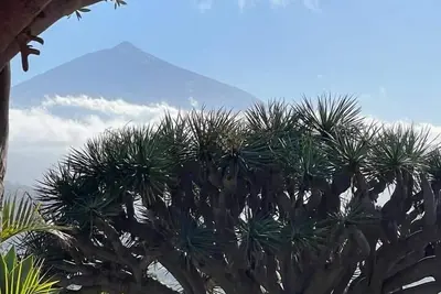 Image de Great views & heated pool (El Perenquen, 5)