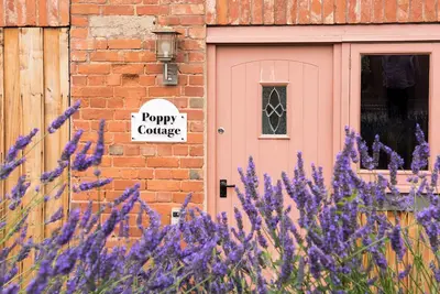 Image de Poppy Cottage, family friendly, with a garden in Aylesbeare