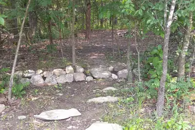 Image de Deer Creek @B Berry Farms