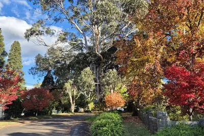 Image de Old Bowral: Quiet, private, 1 bedroom cottage, undercover parking, walk to town.