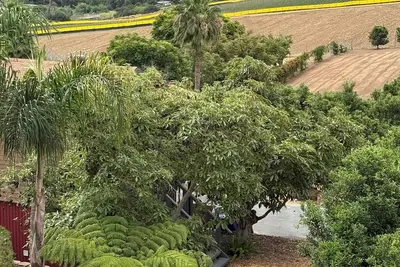 Image de Oceanside -Bonsall Barn Treehouse Studio  farmstay