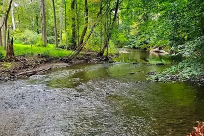 Image de Charming 4-bedroom house with Ac, WiFi in brilliant Delaware Water Gap