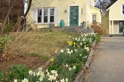 Image de Beautiful apt. in Historic Takoma
