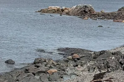 Image de Little Burnt Bay Paradise