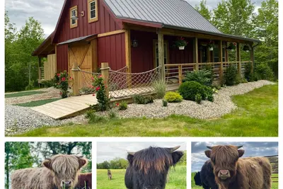 Image de Rustic Modern Cabin on Highland Cow Farm: Hiking Trails, Hot Tub and Fire pit