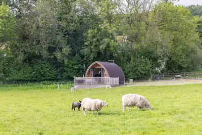 Image de Ashberry Glamping Pod - sleeps 2
