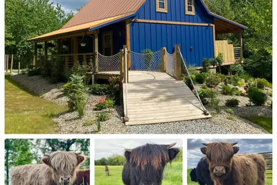 Image de Cozy Lodge Cabin on Highland Cow Farm: Hiking Trails, Hot Tub, Fire Pit, Games