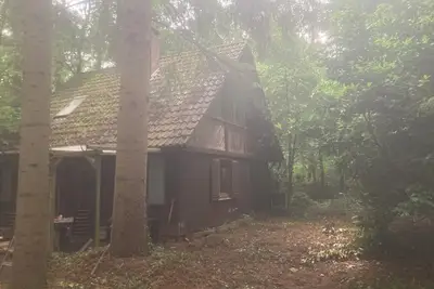 Image de Cozy hut on an idyllic forest property
