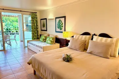 Image de Studio vue Jardin Tropical - Pierre et Vacances