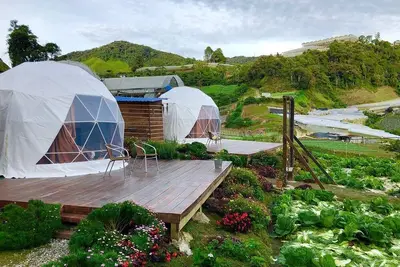 Image de Happy Village