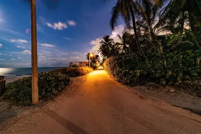 Image de Palm By The Sea