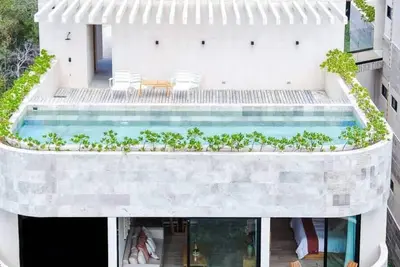 Kaabin Jungle Living C5