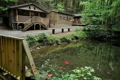 Image de Charming 2-bedroom Pond Nook cabin at Mulberry Gap with Ac, WiFi, & Kitchenette!