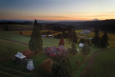 Image de Charming 5-bedroom farmhouse surrounded by vines in Sherwood.