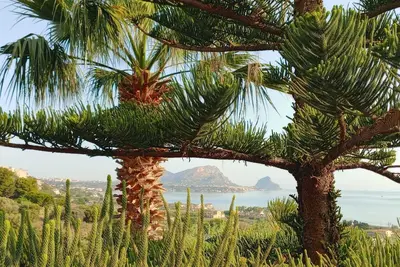 Image de Apartment in villa, in hillside location with sea view.