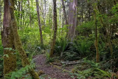 Image de Birds' Nest View: 2 bedroom home apartment with forested walking paths