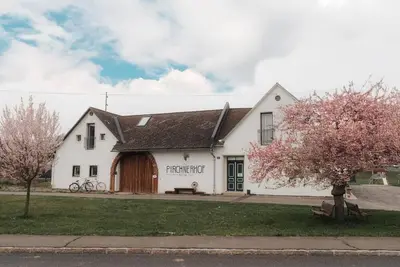 Image de Four-manor house with 5 apartments