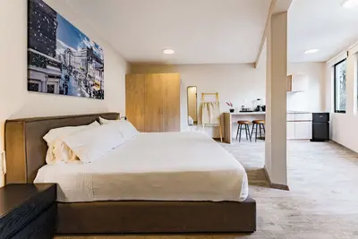 Image de Vh Condesa Luxurious apartment + wifi 25