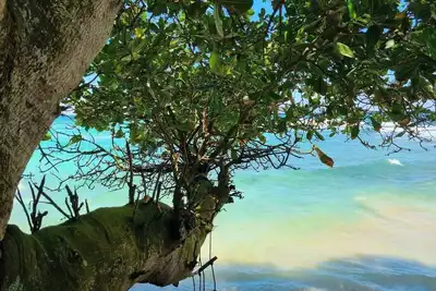 Image de Marley's Beach House - 2 Bedroom Beachfront Villa