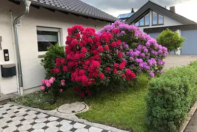 Image de Appartement \"Schwarzwaldhirsch\" avec terrasse privée et Wi-Fi