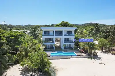 Image de Seahorse #3- Wow! Beach, pool, sunsets, modern