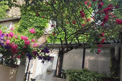 Image de Maison de charme au coeur du centre historique d'Amboise