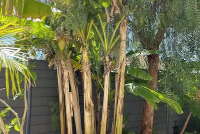 Image de Petite villa  au calme à 10 minutes de la plage!