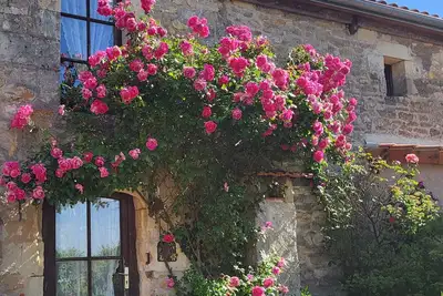 Image de Gîte les Roses 2/4 couchages